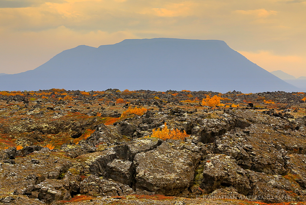 Myvatn region birch color among lava flows