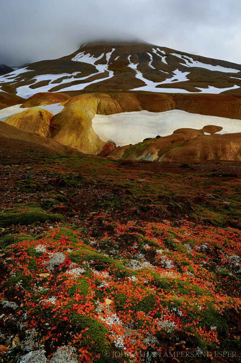Autumn foliage and snowcapped mountain in the Icelandic Highlands