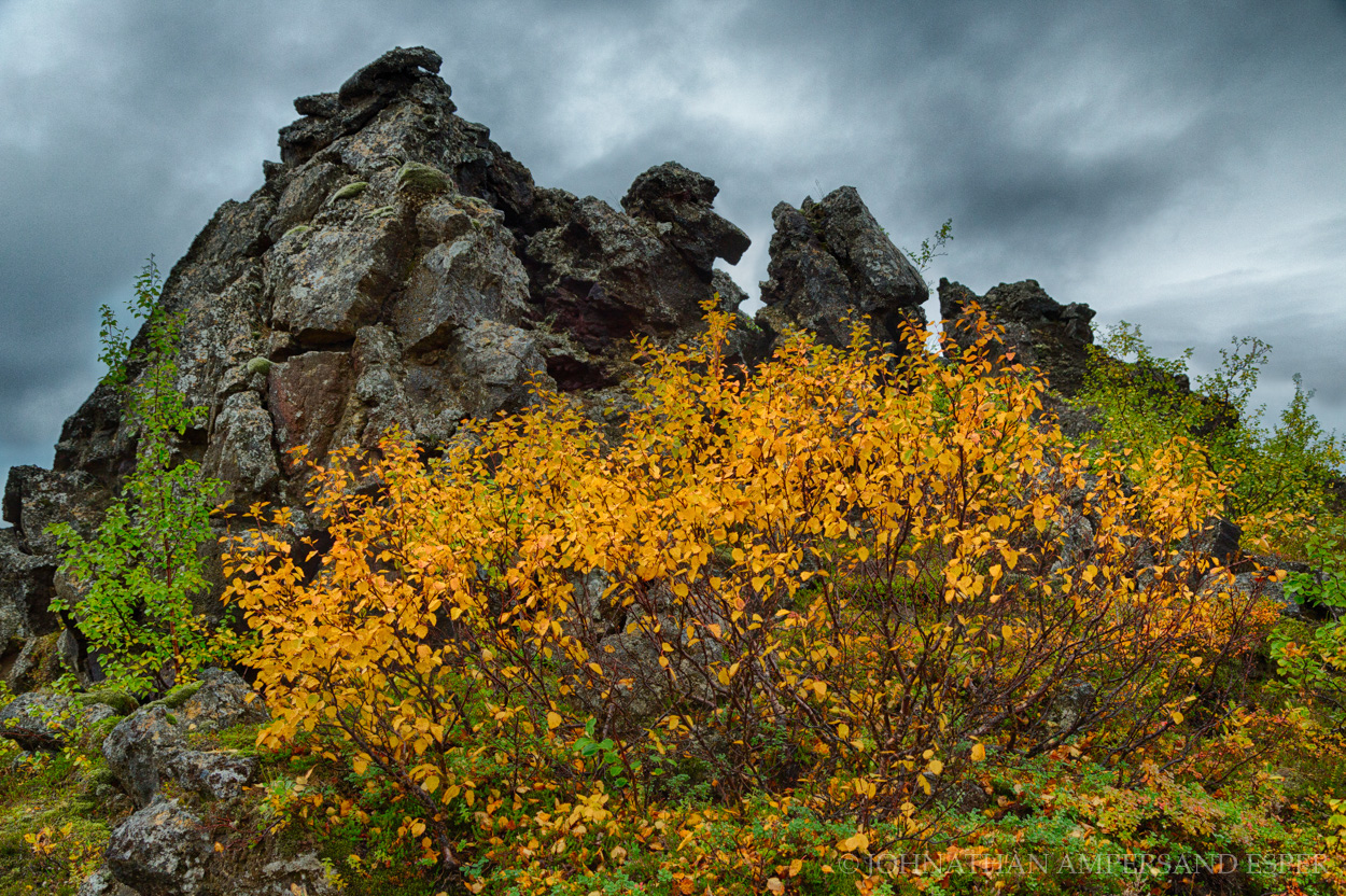 Autumn foliage against a rocky backdrop in northern Iceland